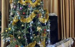 Новогодний Сюрприз