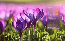 План воспитательных мероприятий МБОУ ДО ЦРТДЮ на АПРЕЛЬ