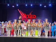 Международный конкурс "Red Style Fest"