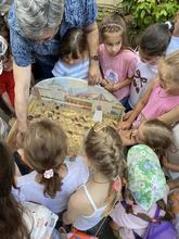 Взятие Астрахани войсками Ивана Грозного